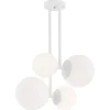 Aspen 1644 - Argon - lampa wisząca 4 pł.