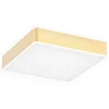 Atlantis 4050 - Argon - plafon LED mały