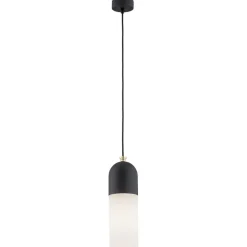 Burgos 4213 - Argon - lampa wisząca 1 pł.