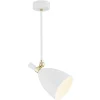 Charlotte 4684 - Argon - lampa wisząca 1 pł.