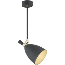 Charlotte 4686 - Argon - lampa wisząca 1 pł.