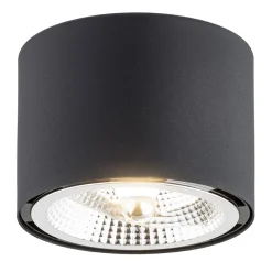 Clevland 4691 BZ - Argon - plafon 1 pł.