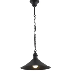 Erba 631 - Argon - lampa wisząca 1 pł.
