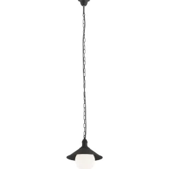 Erba Bis 3285 - Argon - lampa wisząca 1 pł.