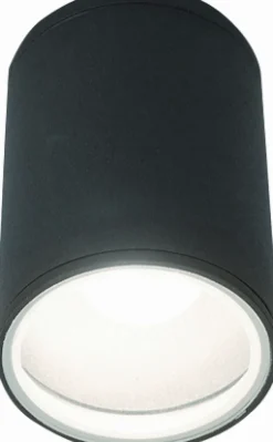 Fog Plafon - Nowodvorski - lampa sufitowa zewnętrzna