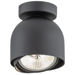Garland 4711 BZ - Argon - plafon 1 pł.