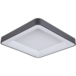 Giacinto Led Black 4000K - Italux - plafon