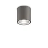 Gun Pl1 - Ideal Lux - plafon zewnętrzny