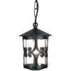 Hereford Black - Elstead Lighting - lampa wisząca ogrodowa