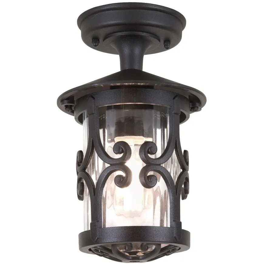Hereford Black H26 - Elstead Lighting - lampa sufitowa ogrodowa