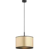 Karin 4291 - Argon - lampa wisząca 1 pł.
