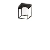 Lingotto Pl1 - Ideal Lux - plafon