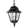 Norfolk Black - Elstead Lighting - lampa wisząca ogrodowa