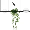 Plant Czarna - Moosee - lampa wisząca