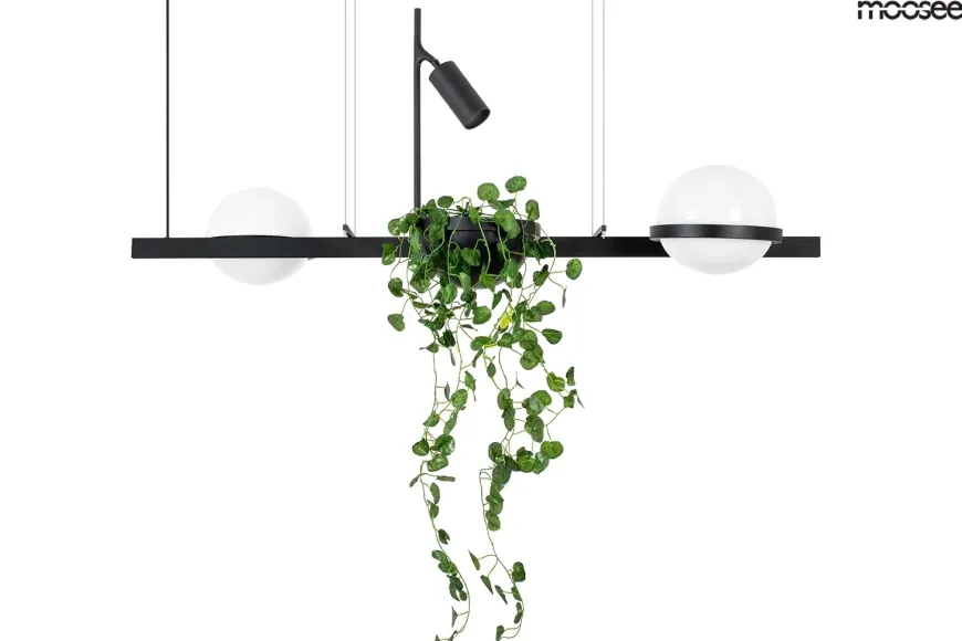 Plant Czarna - Moosee - lampa wisząca