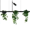 Plant Line Czarna - Moosee - lampa wisząca