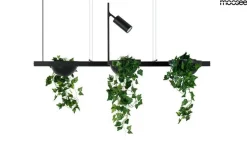 Plant Line Czarna - Moosee - lampa wisząca