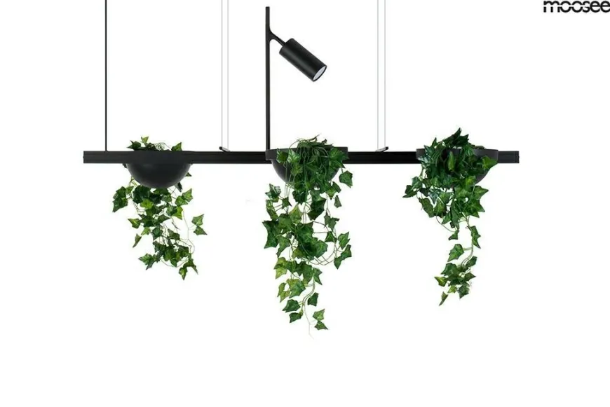 Plant Line Czarna - Moosee - lampa wisząca