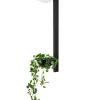 Plant Wall Czarna - Moosee - lampa ścienna