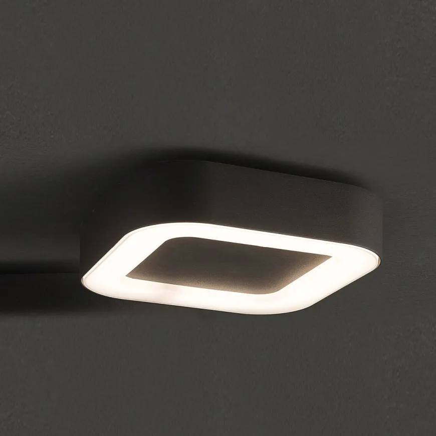 Puebla Led Graphite - Nowodvorski - plafon