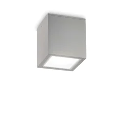 Techo Pl1 Big - Ideal Lux - plafon zewnętrzny