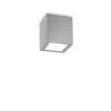 Techo Pl1 Small - Ideal Lux - plafon zewnętrzny