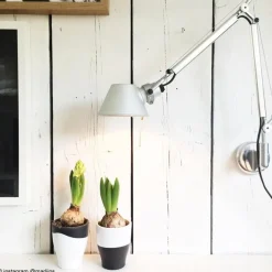 Tolomeo L81 polerowane aluminium - Artemide - lampa ścienna