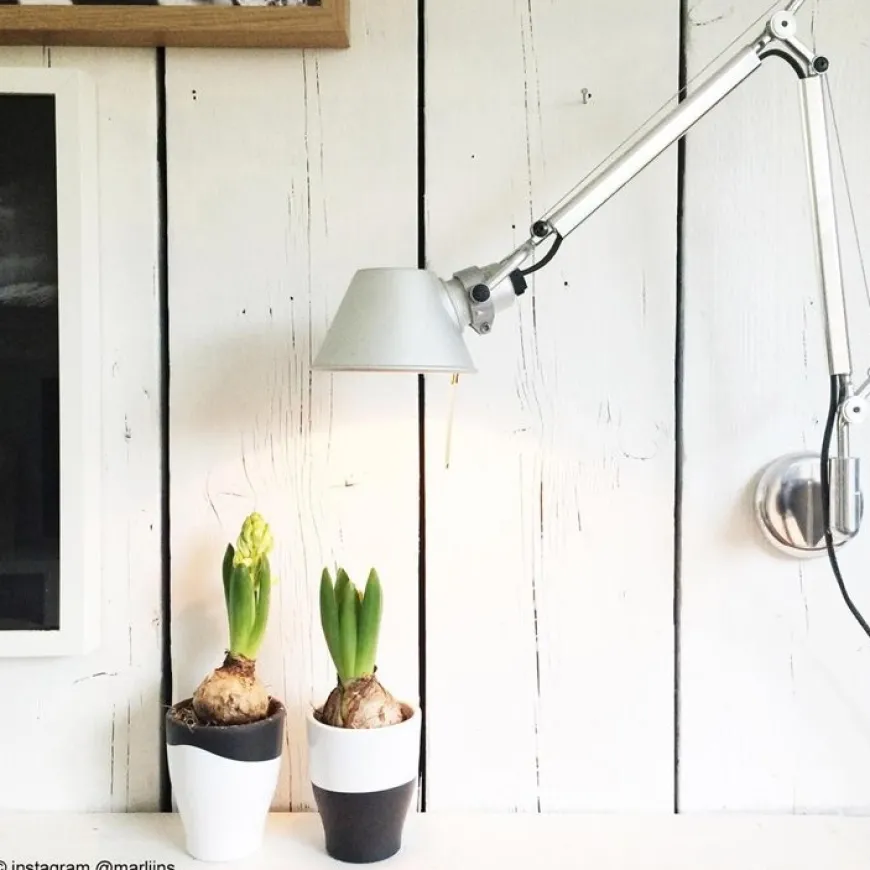 Tolomeo L81 polerowane aluminium - Artemide - lampa ścienna