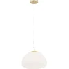 Trini 4316 - Argon - lampa wisząca 1 pł. M