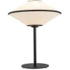 Troy 4284 - Argon - lampa stołowa 1 pł.