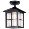 Winchester Black - Elstead Lighting - lampa sufitowa ogrodowa